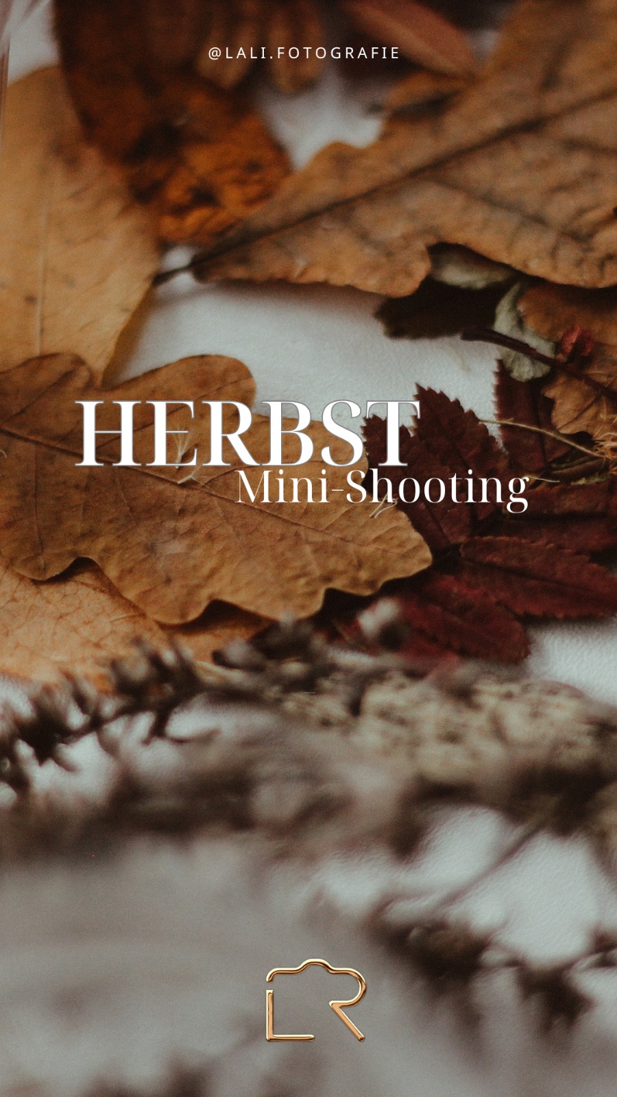Herbst Mini-Shooting – Herbstlaub mit dem Logo von Lariane Riboli