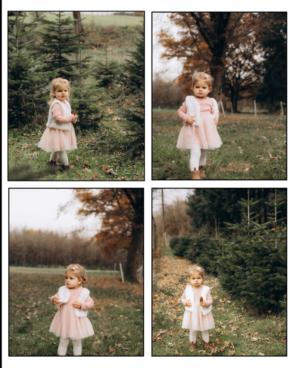 Instagram post from lali.fotografie. This post is in position 1.