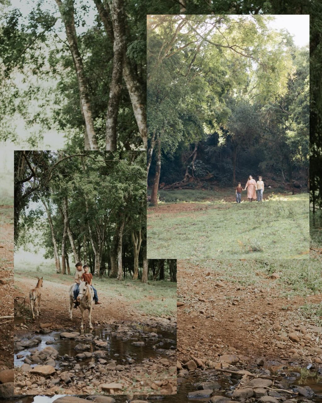 Instagram post from lali.fotografie. This post is in position 2.