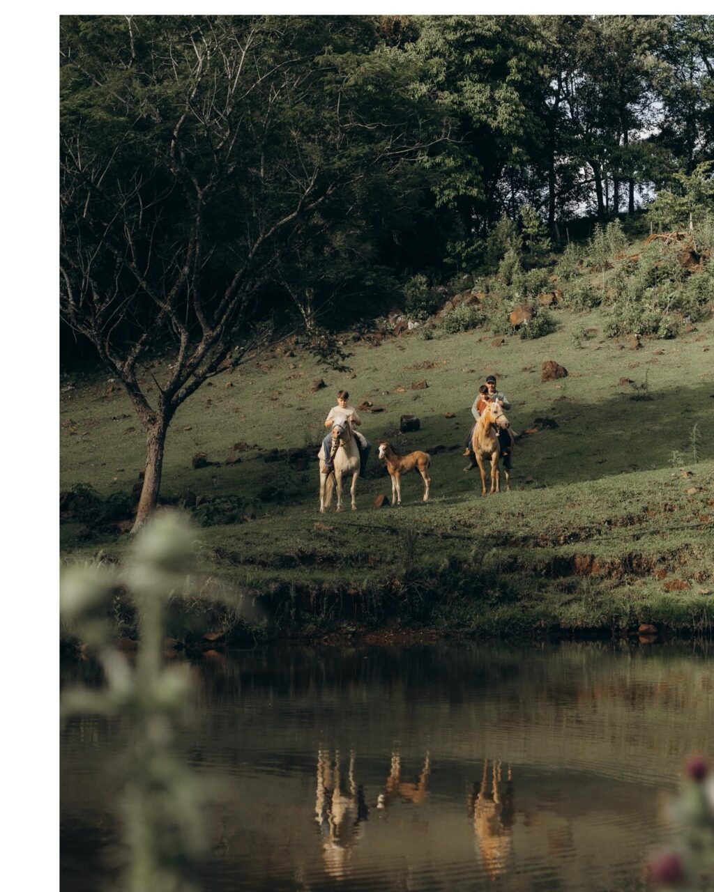 Instagram post from lali.fotografie. This post is in position 4.