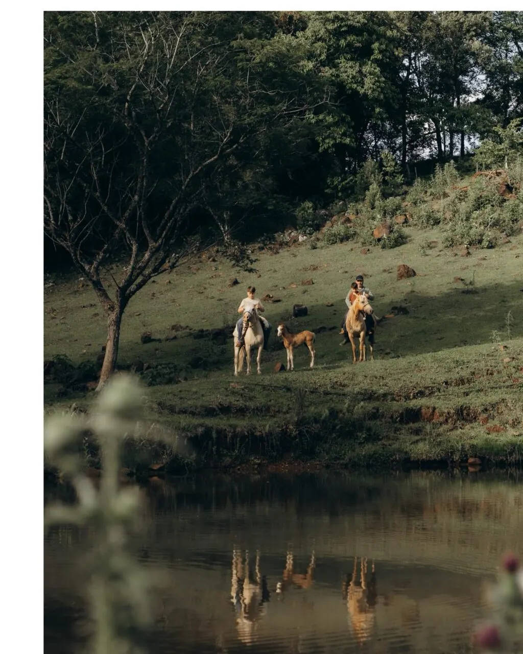 Instagram post from lali.fotografie. This post is in position 4.