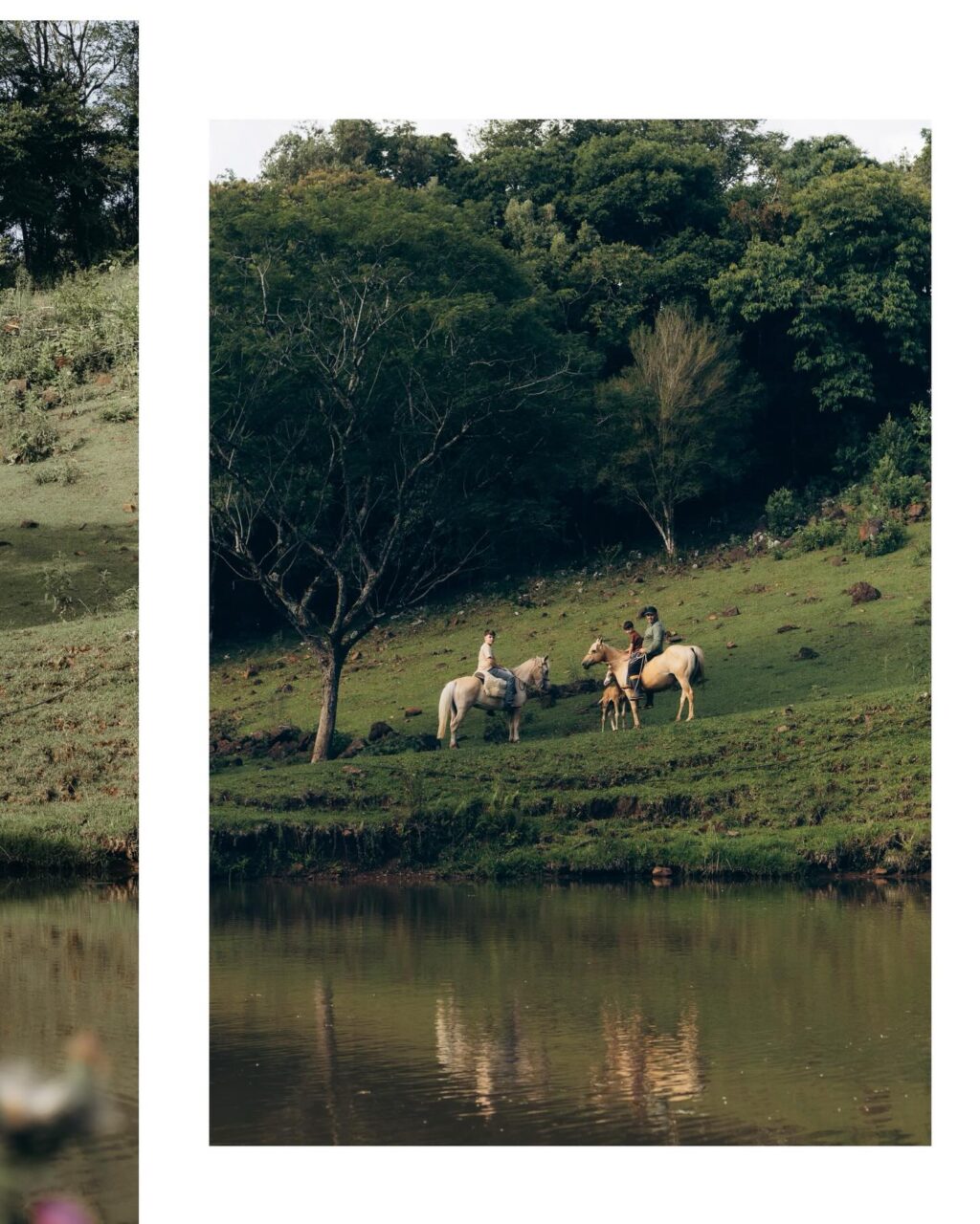 Instagram post from lali.fotografie. This post is in position 5.